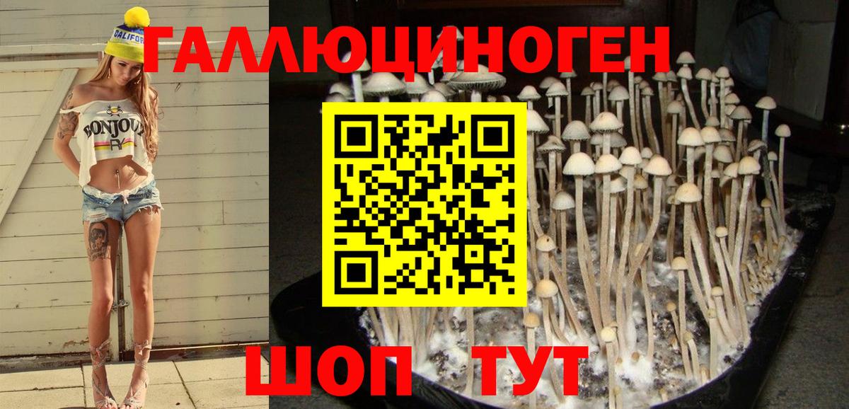 Псилоцибиновые грибы Magic Shrooms Среднеуральск